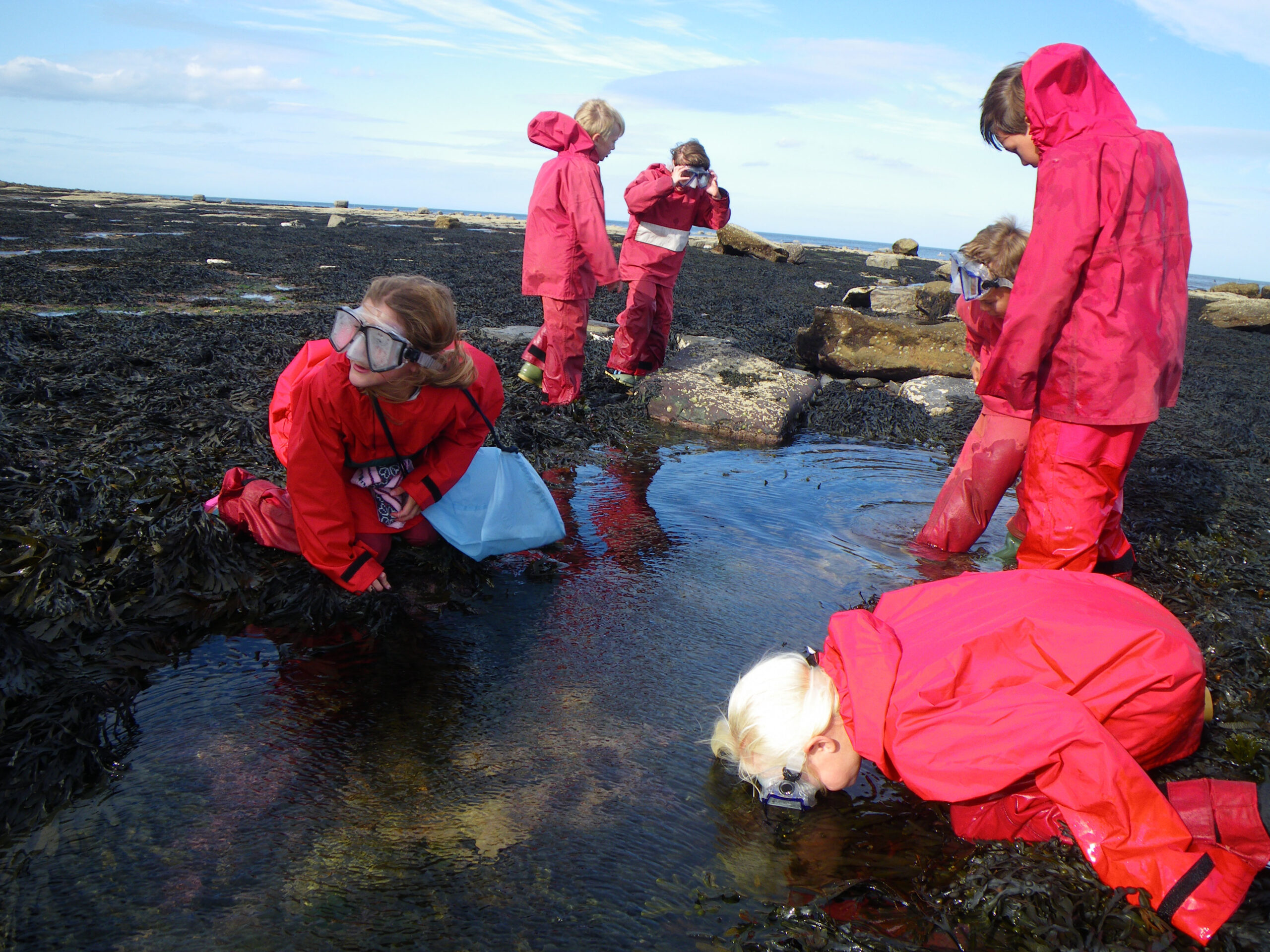 Moorland Explorer > North Yorkshire Outdoor Learning Service