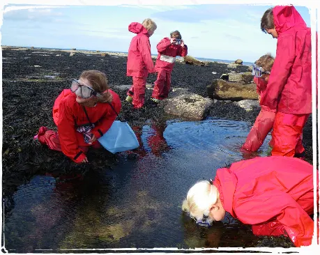 people looking for treasure in rockpools